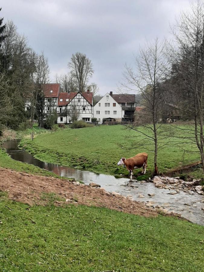 Apartament Haus An Der Werbe Waldeck  Zewnętrze zdjęcie