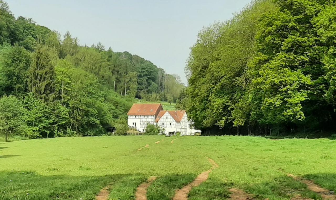 Apartament Haus An Der Werbe Waldeck  Zewnętrze zdjęcie