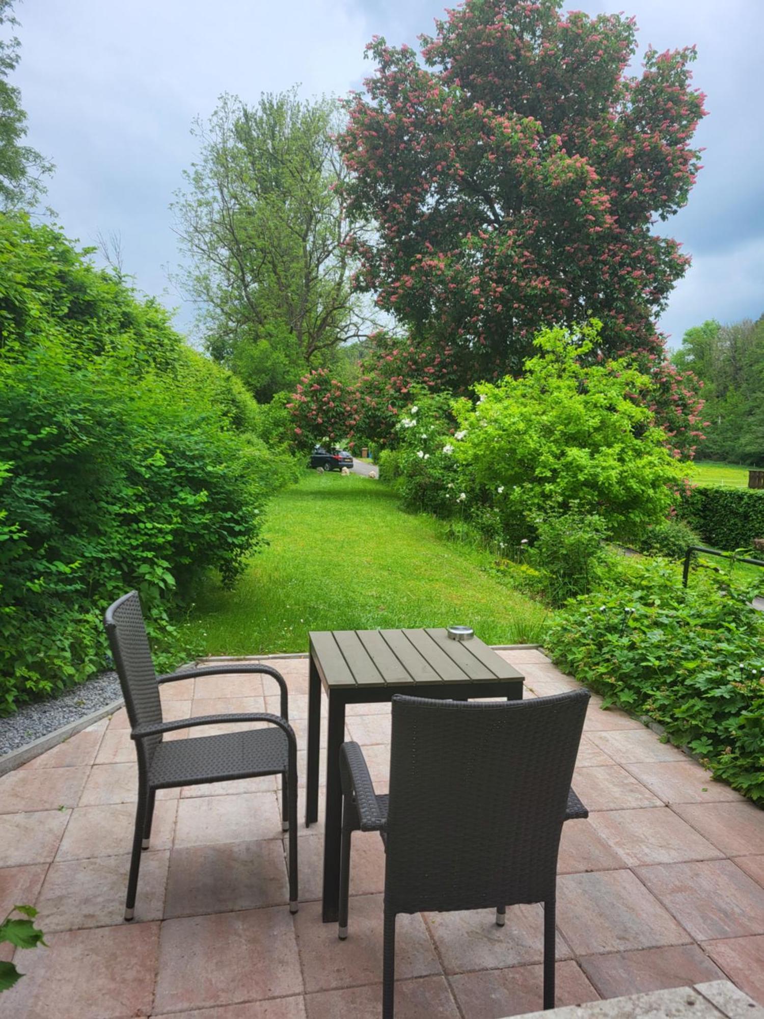Apartament Haus An Der Werbe Waldeck  Zewnętrze zdjęcie